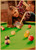 Vintage Billiards Wall Pictures Snooker Painting Modern Ball Sports Posters Prints for Living Room Club Wall Home Decor gift Vintage Billiards Wall Pictures Snooker Painting Modern Ball Sports Posters Prints for Living Room Club Wall Home Decor gift
