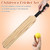 Cricket Set Children Toy Kids Sports Game Playground Ball Major Tennis Bat Eva Beach Bats Croquet Balls Parent-child  Cricket Set Children Toy Kids Sports Game Playground Ball Major Tennis Bat Eva Beach Bats Croquet Balls Parent-child