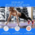 Adjustable Dumbbells Hand Weights Set: 5 Lb Dumbbells Set Of 2 Each 2lb 3lb 4lb 5lb Free Weights Fast Adjust Weight 4 In 1 Weights Dumbbells Set For Women Men Home Gym Exercise Training