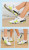 Water Shoes for Men and Women Quick Drying Beach Swimming Shoes - Suitable for Swimming Pools Surfing and Water Sports Anti Slip Water Shoes for Men and Women Quick Drying Beach Swimming Shoes - Suitable for Swimming Pools Surfing and Water Sports Anti Slip