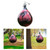 Punching Bag Heavy Bags Boxing Punching Bag Punching Ball Water Punch Bag Agility Training for Household Agility Relaxing Boxing Punching Bag Heavy Bags Boxing Punching Bag Punching Ball Water Punch Bag Agility Training for Household Agility Relaxing Boxing