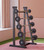 Wholesale Customizable Logo Fixed Straight Rubber Barbells Rack with KG Free Weights Product Wholesale Customizable Logo Fixed Straight Rubber Barbells Rack with KG Free Weights Product