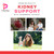 Kidney Support Supplements - Urinary Tract Support, Bladder Support and Kidney Health Supplements Kidney Support Supplements - Urinary Tract Support, Bladder Support and Kidney Health Supplements