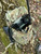Armoloq TPA-857B, Blemished