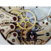 Image Capture with the Portable Jewelers LCD Digital Microscope