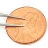 Dumont Anti Magnetic Stainless Steel Epoxy Coated Tweezers