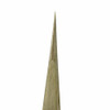 Dumont # 12 Antimagnetic Nickel Tweezers