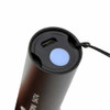 Bergeon Pocket UV Light