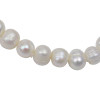 Freshwater Pearl Bracelet 7-9mm
