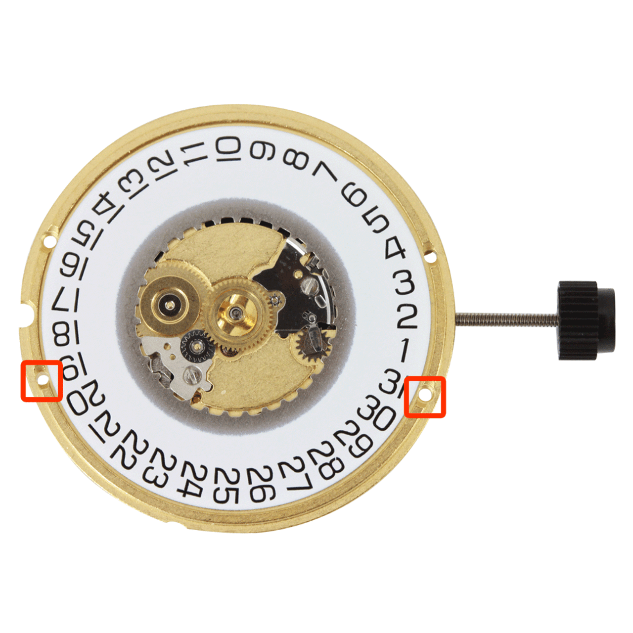 ETA 955.112.0 Quartz Watch Movement with Low Canon Pinion