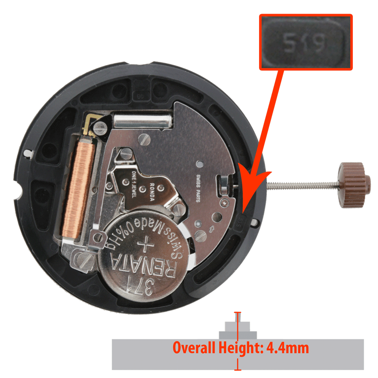 Harley Ronda HQ519 Quartz Movements With Big Date Display