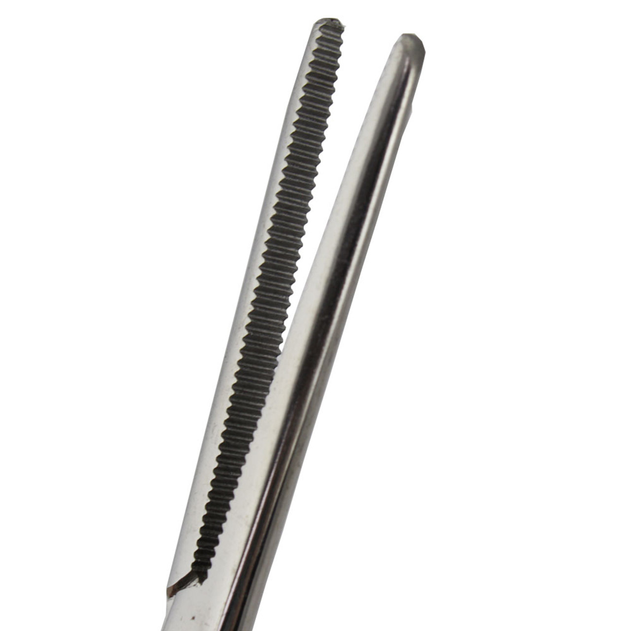 Stainless Steel Forceps 6 Inch