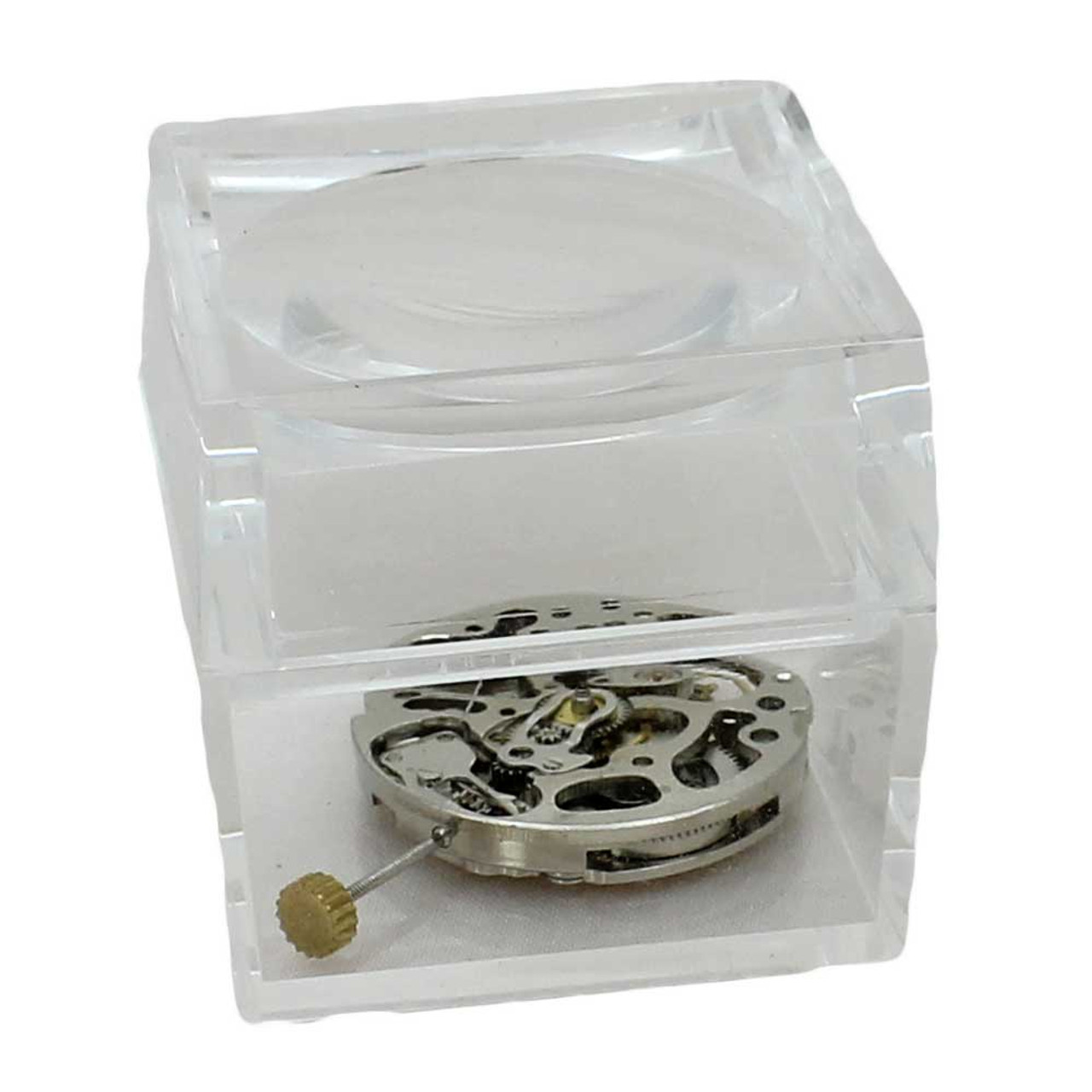 Large 1.5 Inch Clear Plastic Box with Magnified Cover