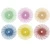 3M radial bristle 3/4" disc 6 piece pack kit