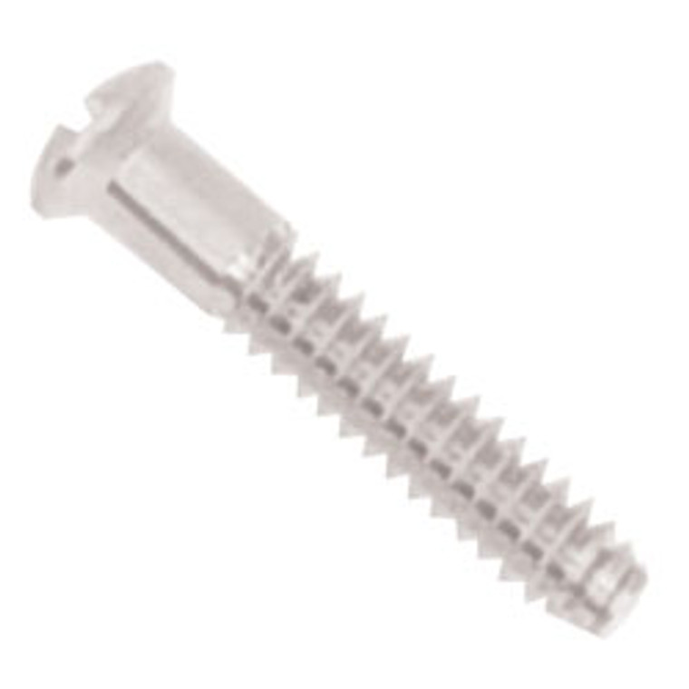 Coin Mounting coin Screw 5.93mm