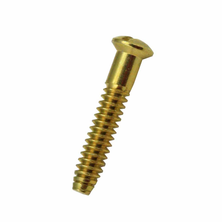 Gold Color Coin Bezel Mounting Screw