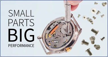 Watch Screws