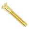 Coin mounting replacement screw for use with coin bezel pendants