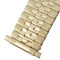 Classic Style Expansion 6 3/8 to 10 Inch Length Watchband Yellow Gold Tone With Expandable Ends 16 to 22mm