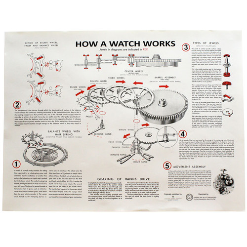 Watch Parts Diagrams Illustrated Watch Parts - Esslinger