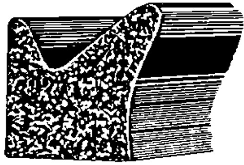 GM 1955 - On
Door Flange
Sponge Rubber Weatherstrip
50 Feet Per Box