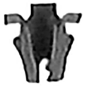 Tubula Nut 3/32" Stud Size .025-.175 Panel Ange Qty 100