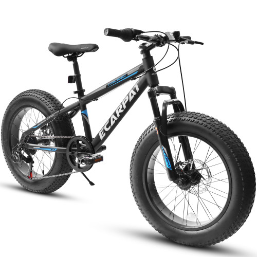 A20316 20 Inch Fat Tire Bike Adult/Youth Full Shimano 7 Speed Mountain Bike, Dual Disc Brake, High-Carbon Steel Frame, Front Suspension, Mountain Trail Bike, Urban Commuter City Bicycle,Fat tire bike