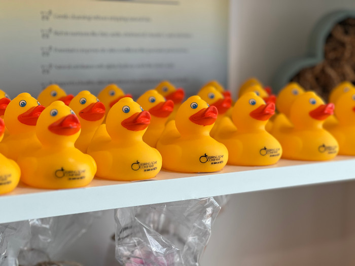 The Sebring Soap Duck Collection - Sebring Duck