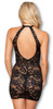 Be Wicked Trisha Dress Black Stretch Lace Cut-Out Cups Womens Lingerie XL 16-18