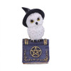 Nemesis Avian Spell White Owl Blue Spellbook 5" Figurine