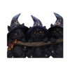 Nemesis Witches Helpers Black Cats On Broomstick 8" Key Hanger