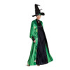 Harry Potter's Professor McGonagall Deluxe Adult Costume Dress and Hat LG 12-14