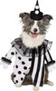 Paw Prints Killer Clown Pup Dog Animal Pet Halloween Walking Costume LARGE