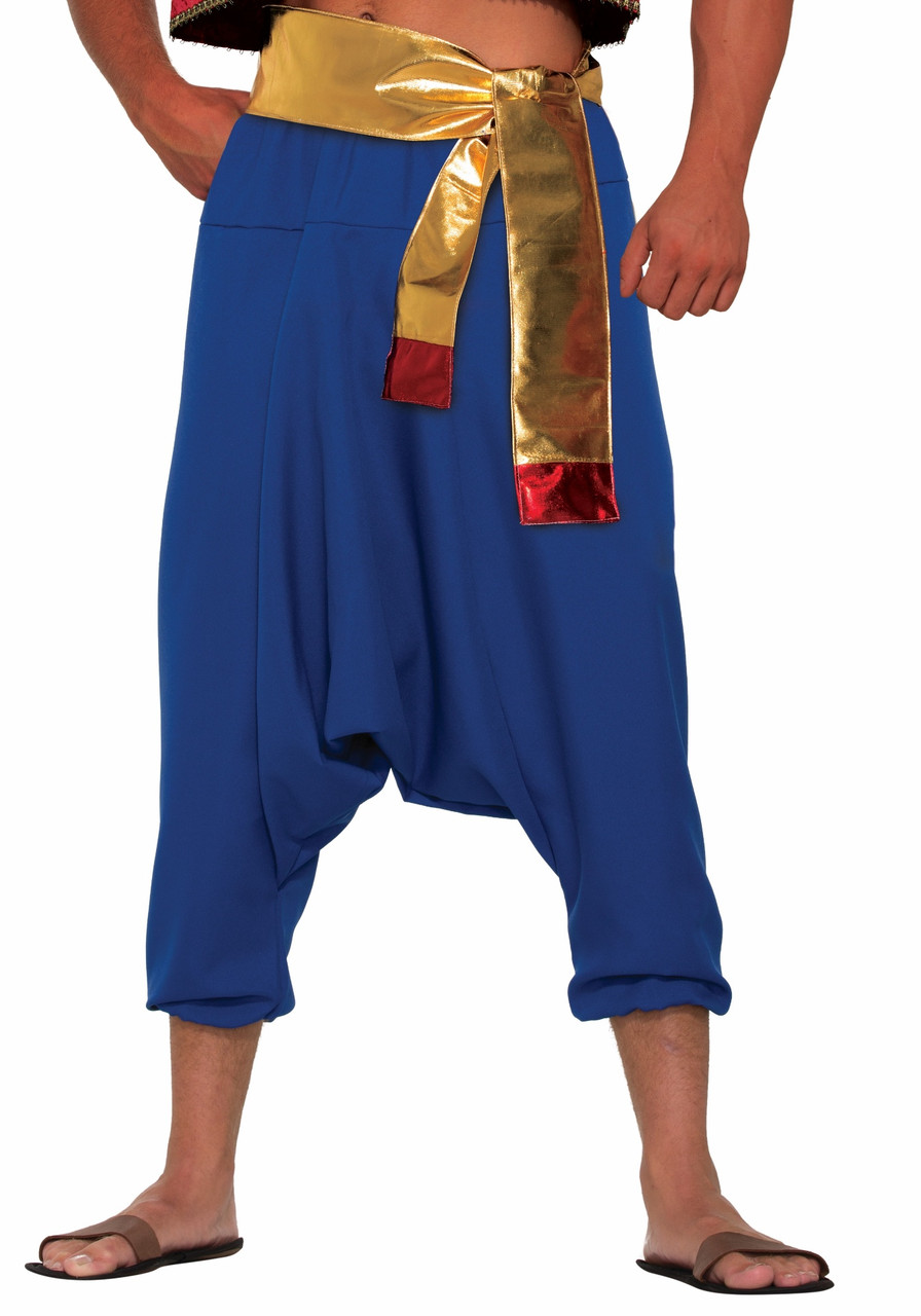 Blue Desert Prince Adult Pants Aladdin Sultan Harem Genie Costume Accessory  - www.