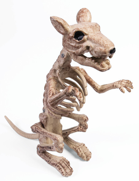 Dead Rat Skeleton Rodent Bones Decoartion Halloween Prop Horror Haunted House