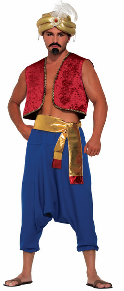 Blue Desert Prince Adult  Pants Aladdin Sultan Harem Genie Costume Accessory