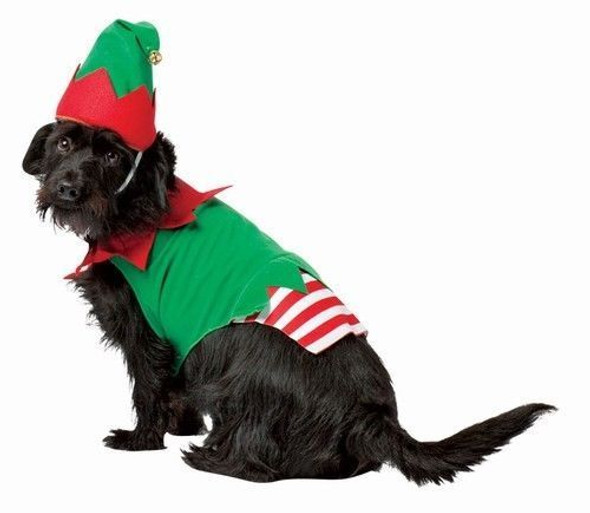 Rasta Imposta Santa's Little Helper Elf Dog Costume Christmas Pet Hat One Piece