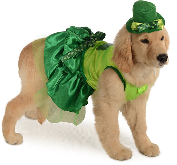 Irish Girl Lucky Dog Pet Costume St. Patricks Day Saint Paddy's SM MD LG XL New