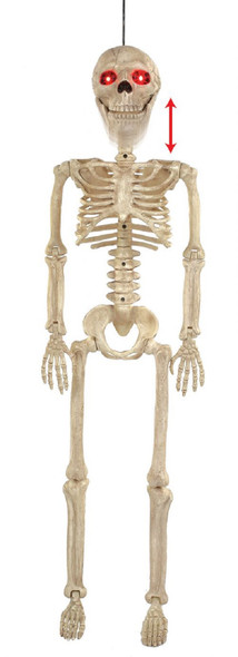 36" Crazy Bones Junior Animated Talking Skeleton LU Halloween Prop Haunted House