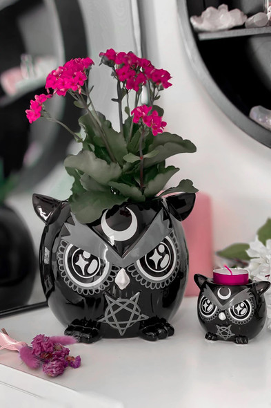 Haunted Homeware By Killstar Owl Planter Plant Holder Black Ceramic Goth Wicca Home Decor