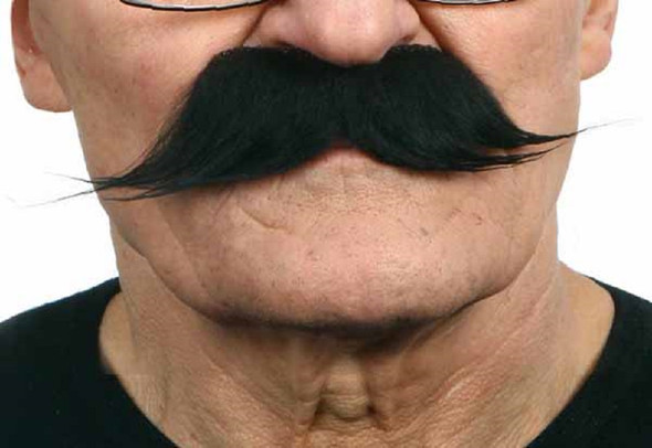 Black Mustache Englishman English Style Self Adhesive Facial Hair Accessory