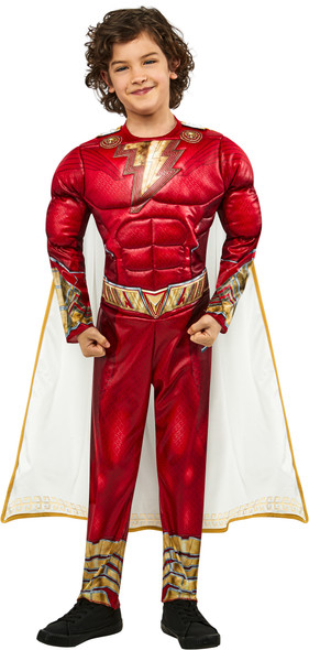 DC Shazam! Fury Of The Gods Muscle Chest Superhero Child Costume MEDIUM 7-8