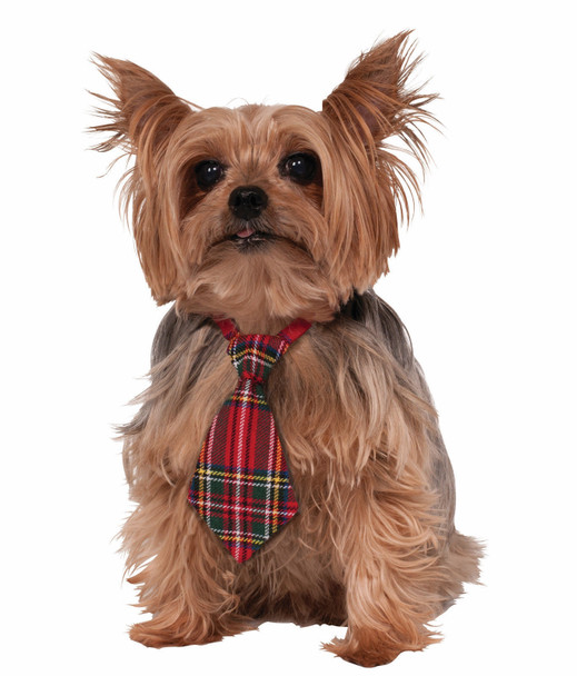 Christmas Dog Necktie Neck Tie Red Plaid Festive Holiday Costume Accessory  Pet