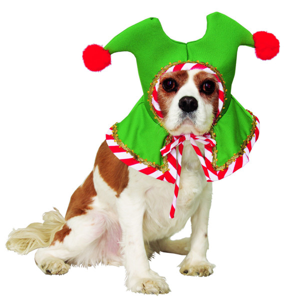 Santa's Pet Elf Costume Hat  Red White Green Dog Cat Christmas Holiday Jester