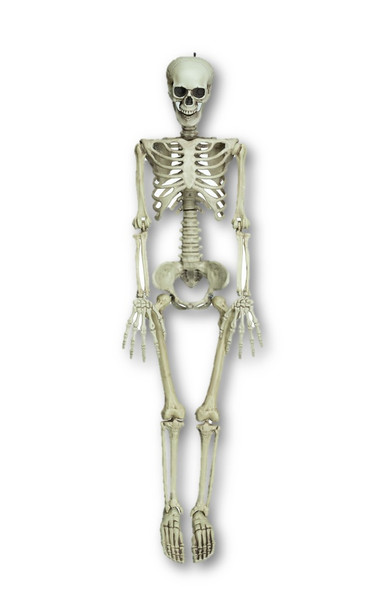 Fun World 36" Posable Articulated Skeleton Halloween Prop Horror Haunted House