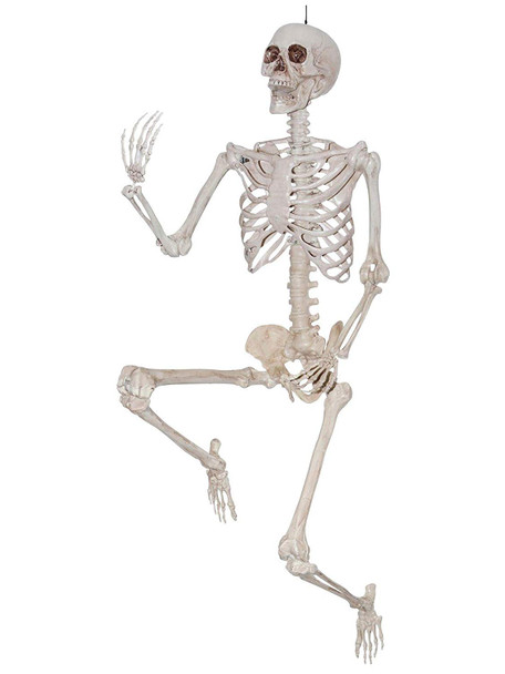 5ft Posable Skeleton Full Body Halloween Prop Horror Haunted House Bones Decor