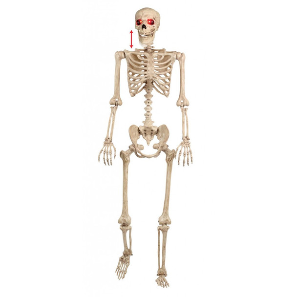 5' Life Size Poseable Animated Talking Skeleton LU Halloween Prop Haunted House
