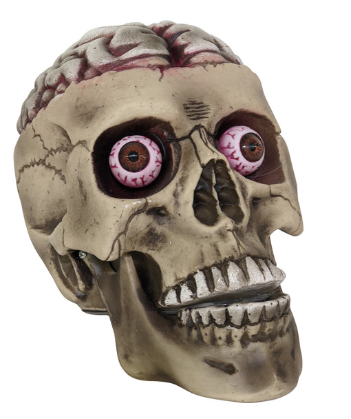 Bloody Brain Skull With Crazy Eyes Eyeballs Halloween Decoration Haunted House