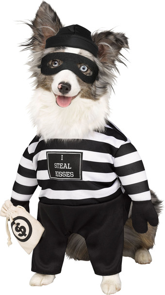 Paw Prints Robber Pup Dog Funny Bandit Pet Halloween Walking Costume SMALL