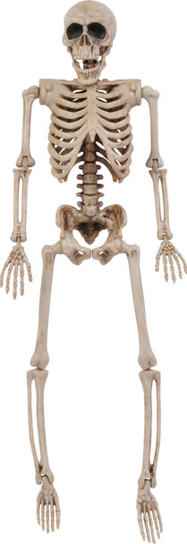 Fun World 14" Skeleton Posable Halloween Decoration Prop 1/PC